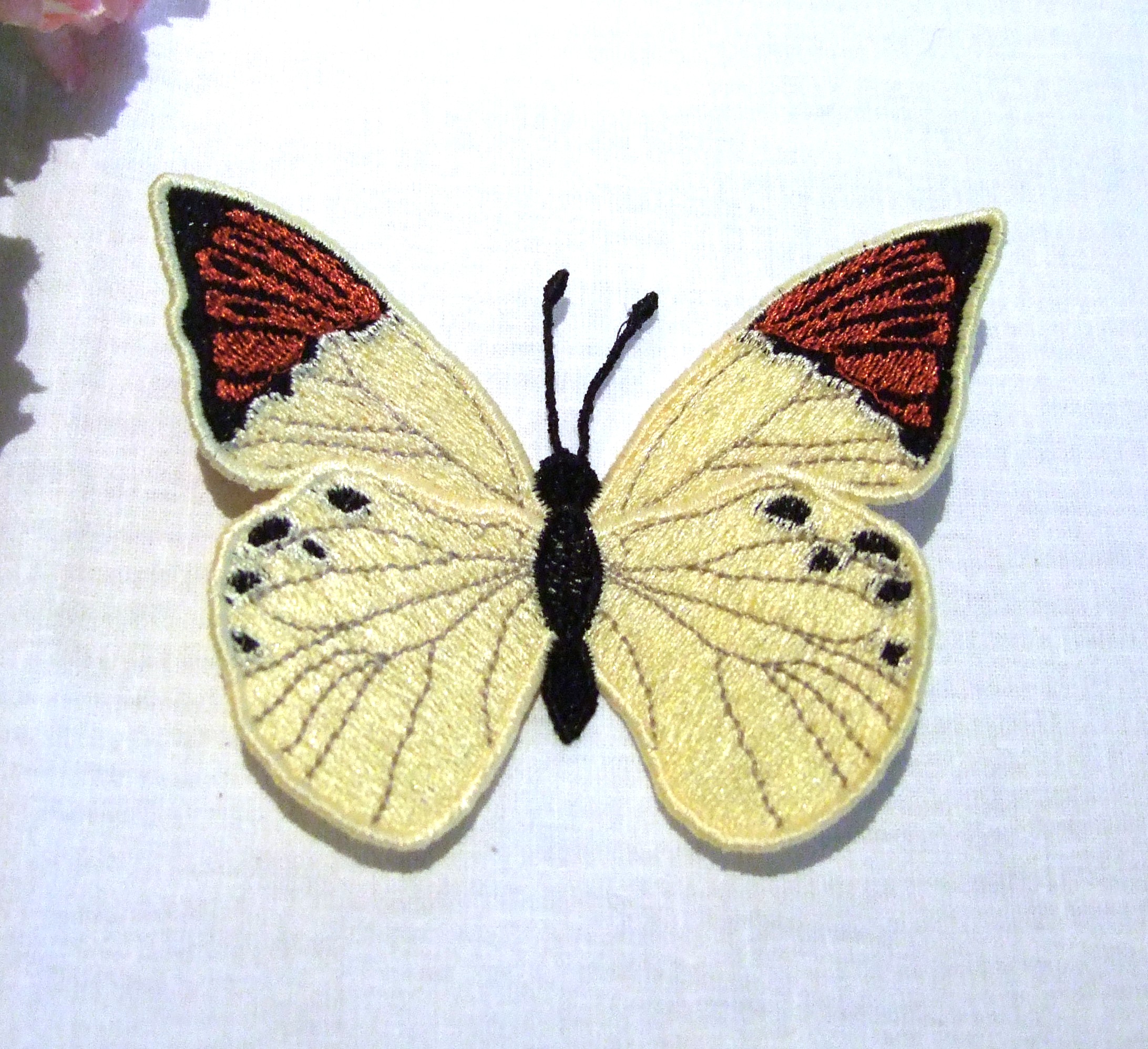 Schmetterling-gelber Aurorafalter - Einzeldateien