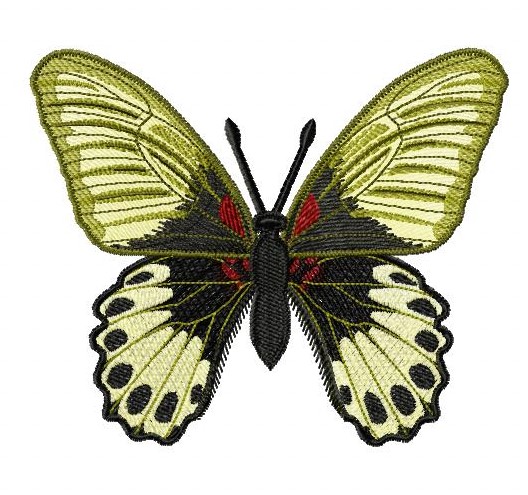 Schmetterling-Mormon - Einzeldateien