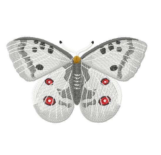 Schmetterling-roter Apollofalter - Einzeldateien