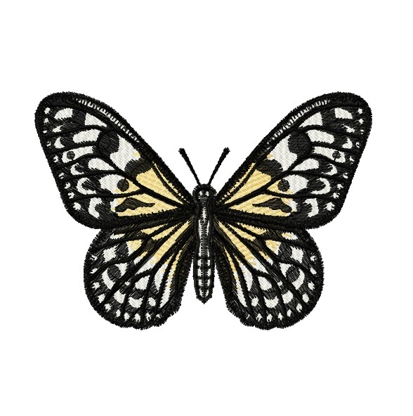 Schmetterling-weiße Baumnymphe - Einzeldateien