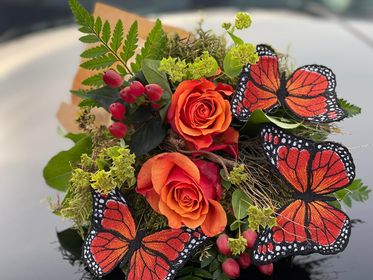 FSL-Schmetterlinge - Einzeldateien