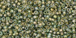 10 g TOHO Seed Beads 11/0 TR-11-0271 - Gold-Lined Luster Black Diamond (E)