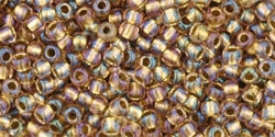 10 g TOHO Seed Beads 11/0 TR-11-0268 - Inside-Color Rainbow Crystal/Gold Lined (E)