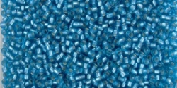 5g TOHO SeedBeads 15/0 TR-15-0023 BF