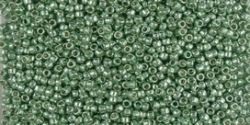 5g TOHO SeedBeads 15/0 TR-15-PF560