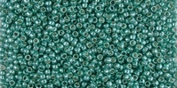 5g TOHO SeedBeads 15/0 TR-15-PF561