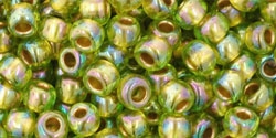 10 g TOHO Seed Beads 6/0  TR-06-0996