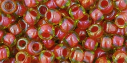 10 g TOHO Seed Beads 6/0  TR-06-0303