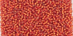 5g TOHO SeedBeads 15/0 TR-15-0025 BF