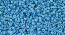 5g TOHO SeedBeads 15/0 TR-15-0163 BF - Tr.-Matte Rainbow Dk Aqua