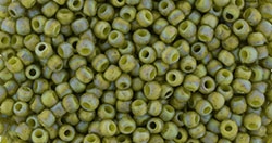 10 g TOHO Seed Beads 11/0 TR-11-2631 F - Semi Glazed Rainbow - Olive (C)