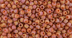 10 g TOHO Seed Beads 11/0 TR-11-2641 F - Semi Glazed Rainbow - Orange (C)