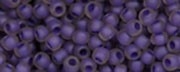 10 g TOHO Seed Beads 6/0  TR-06-0928 F