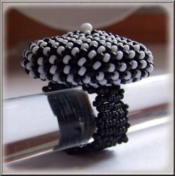 Ring "schwarz-weiß" als pdf