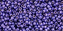 10 g TOHO Seed Beads 11/0 TR-11-PF581 - Permanent Finish - Galvanized Violet (A,C,D)