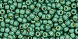 10 g TOHO Seed Beads 11/0 TR-11-PF589 F - Permanent Finish - Matte Galvanized Jade Green/Spruce (A,C,D)