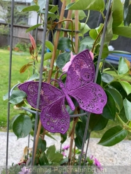 Stickdatei "FSL - Schmetterling Vol. 2"