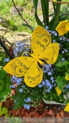 Stickdatei "FSL - Schmetterling Vol. 2"