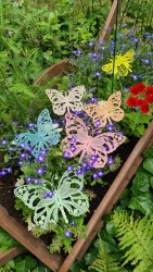 Stickdatei "FSL - Schmetterling Vol. 5"