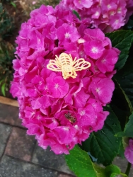 Stickdatei "Lace - Biene-mini"