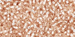 5g TOHO SeedBeads 15/0 TR-15-0031