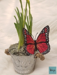 Stickdatei "FSL - Schmetterling Monarch " --- Design Pack