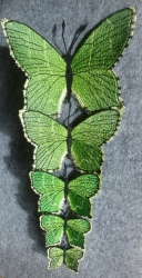 Stickdatei "FSL - Schmetterling gruener Zipfelfalter" --- Design Pack