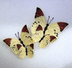 Stickdatei "FSL - Schmetterling-gelber Aurorafalter - 97 x 67 mm"