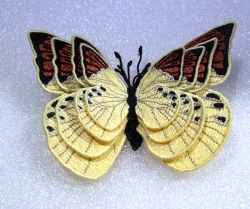 Stickdatei "FSL - Schmetterling-gelber Aurorafalter - 97 x 67 mm"