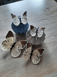 Stickdatei "FSL - Schmetterling-gelber Aurorafalter - 97 x 67 mm"