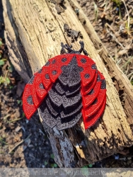 Stickdatei "FSL - Mariechen-Käfer-1" --- Design Pack