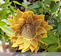 Stickdatei "FSL & ITH - Sonnenblume"