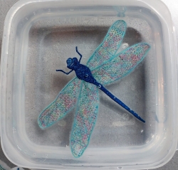 Stickdatei "FSL - Libelle N°1-mittel" --- Einzeldatei