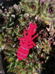 Stickdatei "FSL - Ameise" - ca. 52 x 79 mm