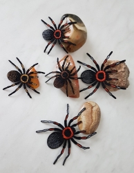 Stickdatei "FSL - Spinne-Tarantel" --- Design Pack