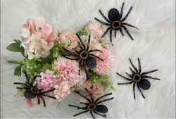 Stickdatei "FSL - Spinne-Tarantel" ca. 80mm