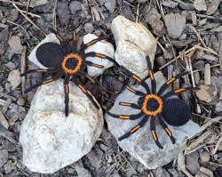 Stickdatei "FSL - Spinne-Tarantel" ca. 80mm