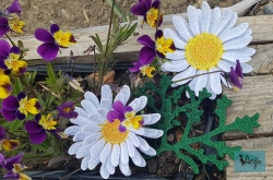 Stickdatei "FSL & ITH - Margerite" --- Design Pack