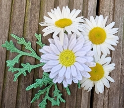 Stickdatei "FSL & ITH - Margerite" - Größe ca. 60 mm