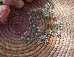 Stickdatei "FSL - Schleierkraut" --- Design Pack