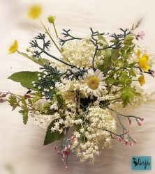 Stickdatei "FSL - Schleierkraut" --- Design Pack