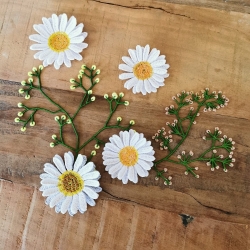 Stickdatei "FSL - Schleierkraut" --- Design Pack