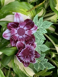 Stickdatei "FSL & ITH - Dahlie" --- Design Pack