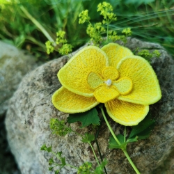 Stickdatei "FSL - Orchidee, mit Loch zum Montieren" - ca. 80 mm - Einzeldatei