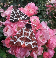 Stickdatei "FSL - Motte-Brauner Bär mit geschlossenen Flügeln " --- Design Pack