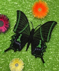 Stickdatei "FSL - Schmetterling-Kaiser von Indien - Teinopalpus imperialis " --- ca. 60 mm