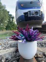 Stickdatei "FSL - Besenheide" --- Design Pack