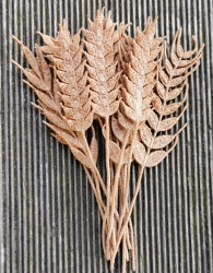 Stickdatei "FSL - Kornähren" --- Design Pack