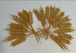 Stickdatei "FSL - Kornähren" --- Design Pack