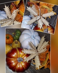 Stickdatei "FSL - Kornähren" --- Design Pack